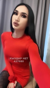 Транс Павлодара Транс№437680 Нита на пару дней Фотография №3701450
